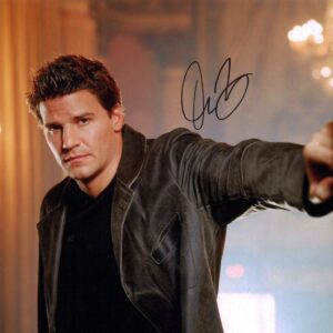 David Boreanaz