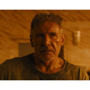Pre-Sale Harrison Ford Autographed Photo #26 (3 sizes available)
