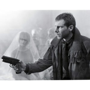 Pre-Sale Harrison Ford Autographed Photo #34 (3 sizes available)