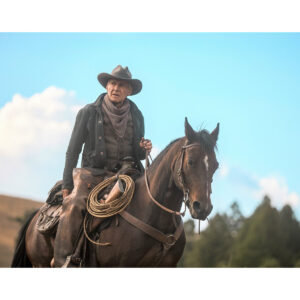 Pre-Sale Harrison Ford Autographed Photo #55 (3 sizes available)