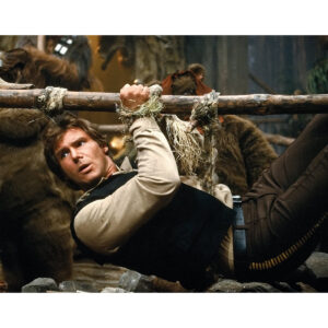 Pre-Sale Harrison Ford Autographed Photo #9 (2 sizes available)