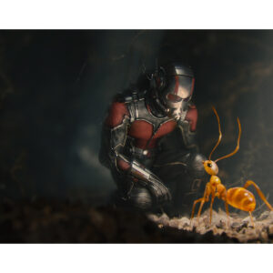 Pre-Sale Paul Rudd Autographed Photo #15 (3 sizes available)