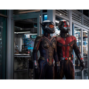 Pre-Sale Paul Rudd Autographed Photo #31 (3 sizes available)