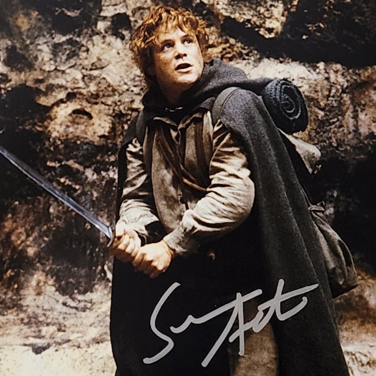 Sean Astin